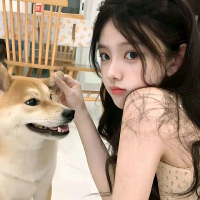 金装律师第三季